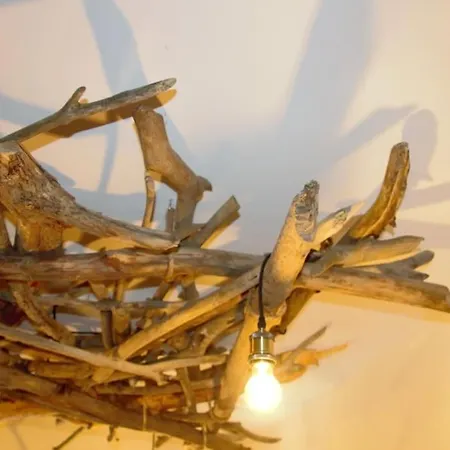 Biberbau * Reinsfeld