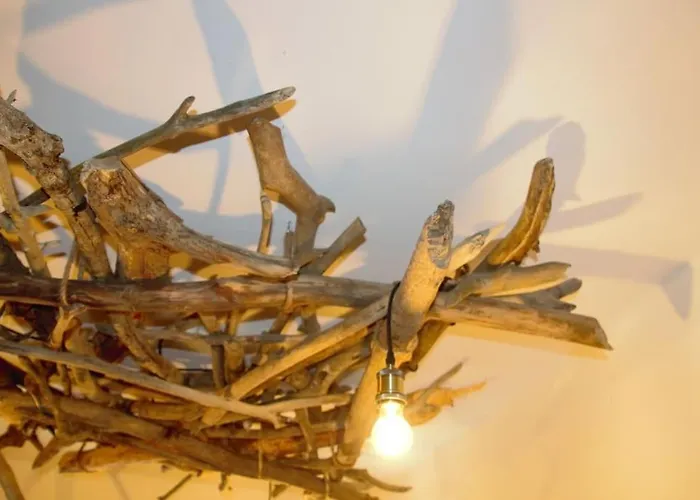 Biberbau * Reinsfeld